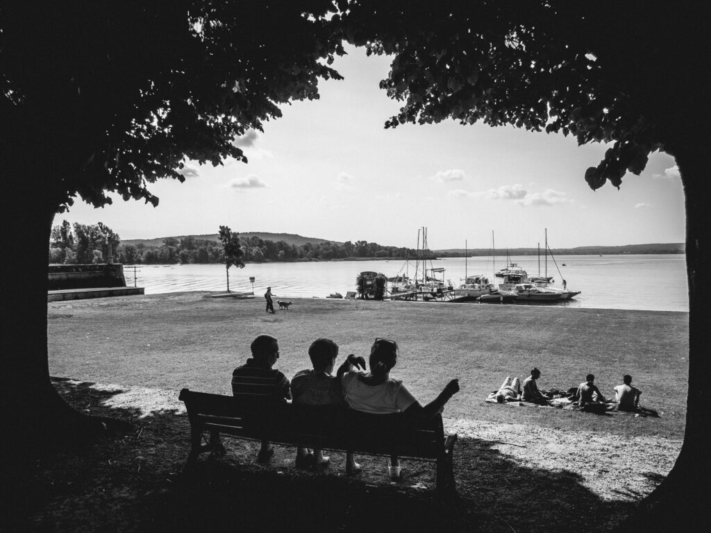 Black and white photograph showcasing a serene lakeside park. Under the shade of a large tree, three individuals are seated on a bench, observing the tranquil waters and the distant hills. A short distance away, a group of friends lounge on the grass, engaged in conversation. Nearby, boats are docked, alluding to the recreational opportunities the lake provides. A couple accompanied by a dog can be seen closer to the water's edge, perhaps enjoying a leisurely stroll. The atmosphere conveys relaxation, with individuals savoring nature and each other's company on a bright day.