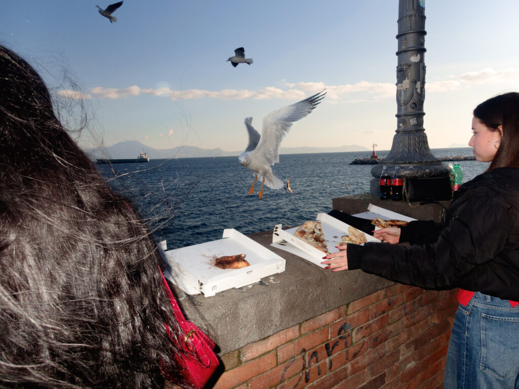 Scene capturing a moment by the seaside, where two women are eating pizza from open boxes placed on a brick ledge. A seagull swoops down dramatically, aiming for a slice of pizza, while other seagulls fly in the background.